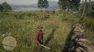 Red Dead Redemption 2 - Two guys with a safe encounter, high honor play.