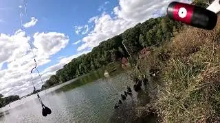 Поймал небольшого канального сома в заливе Мэллоуз, штат Мэриленд!