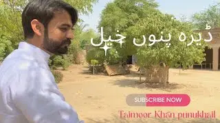 Visit Daira Punukhail Mianwali || Aseel Farm Setup || Mianwali Aseel Pigeon &  Murghay