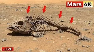 SOL 1542: NASA Releases Stunning 4K Mars Footage &mdash; But Few Noticed This