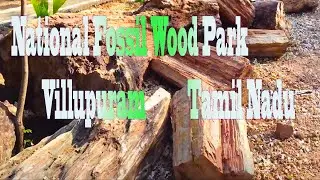 National Fossil Wood Park, Tiruvakkarai [ Villupuram, Tamil Nadu, India ]