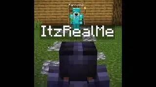 the best Minecraft player... | #shorts #edit