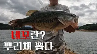 여름 런커 배스 네꼬리그로 뿌리채 뽑다(합천호,안동호)