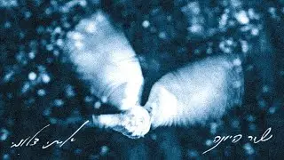 איתי דלומי - שיר היונה