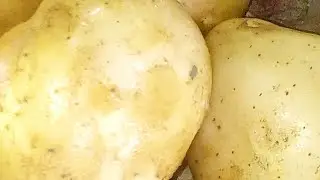 Home Style Cooking Live | Simple Indian Food Recipe