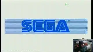 Testing SEGA Genesis Game Cartridges with Hsaelt