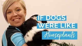 If Dogs Were Like Houseplants