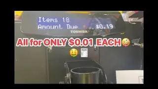 Penny shopping on a Tuesday at DG🛒Part 1 of 2🤑🧾 #dollargeneral #QueenPennSade #pennyqueen #pennyshop