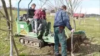 Kastanienplantage Gwand Bäume verpflanzen