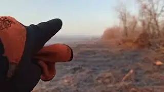 Устроился на пол ставки охранником акации в Коханому 