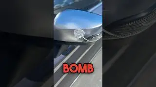 How to safely remove a bird bomb from your paint