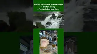 The Artistry of Sustainable Organic Rum