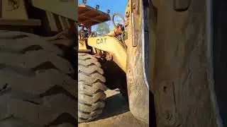 Perusahaan kayu kalteng