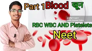 🩺Human blood RBC | WBC | Platelets in hindi  Neet🩺part 1 class 11 Body fluid and circulation chap 18