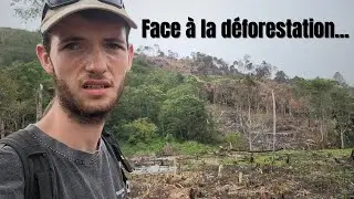 LE PROBLÈME MAJEUR DES CONFLITS ÉLÉPHANTS/HUMAINS...
