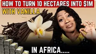 VANILLA: More Valuable Than Silver?! | $3 BILLION African Gold Mine