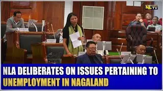 NLA DELIBERATES ON ISSUES PERTAINING TO UNEMPLOYMENT IN NAGALAND