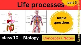 Life process| introduction| class 10 | biology| intext question