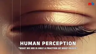 Human perception and the role of technology in expanding our understanding of the world.