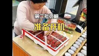 再出發去懷化啦，倉庫第二批貢柚已經準備好了，今晚8點開機。