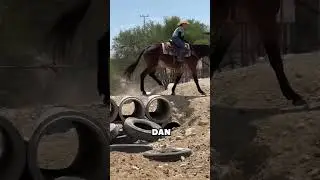 Las Mulas Nunca Se Caen 🐴