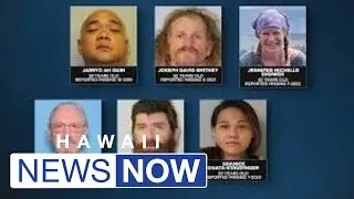 Foul play may be involved in at least 6 missing persons cases on Hawaii Island