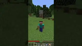 Minecraft #1264