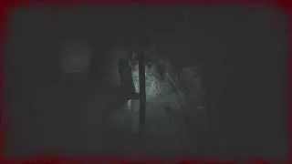Silent hill 2 remake