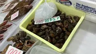 道の駅笠岡ベイファーム鮮魚コーナー７／30