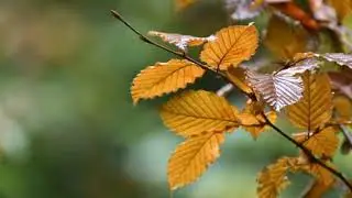 How to create positive Energy in Home/How to create positive thoughts/How to create positive mindset