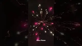 Weco Poison 2024 | &euro;3,79 (Aldi S&uuml;d)