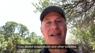EyeBright: Reduce Inflammation and Oxidative Stress
