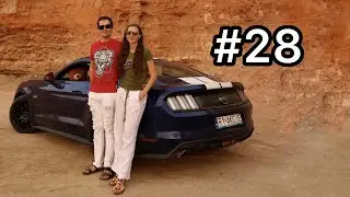 #28 Mustang in Saudi Arabia - Al-Ahsa Oasis, an Evolving Cultural Landscape
