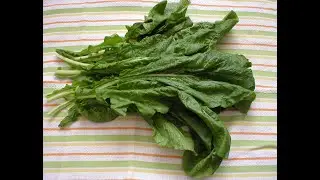 Turnip Greens 101 - Selecting & Storing Turnip Greens
