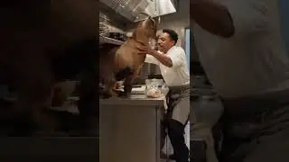 Goat Invites Himself into the Kitchen 😳 #goat #funny #shorts #chef #kitchen #viral