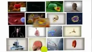 Spongelab's Trailer