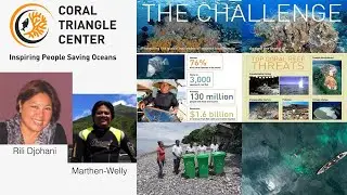 Coral Triangle Center | Conservation Organization in Indonesia | The Underwater Tribe Live Show #044