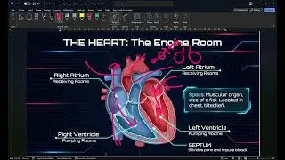Human Body Transport Highways     Compatibility Mode   Word 2026 01 31 01 09 12