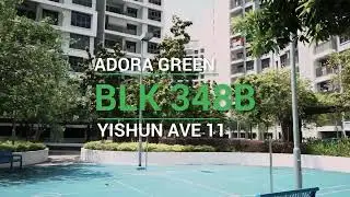 Adora Green (Blk348b):  3 Room DBSS | 66sqm | Yishun | Singapore Home Tour | Sold by Patrick Lee