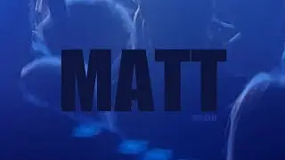 malah - matt (Official Music Video)