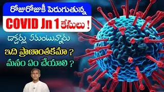 JN 1 Virus Symptoms | Tips to Boost Immunity | Safety Precautions | Cold | Dr. Manthena Official