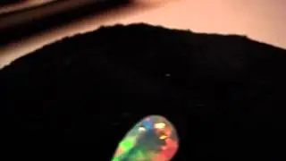 MOV00967