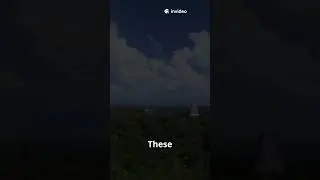 Tikal: The Maya Jungle City Lost for Centuries! 🌿🏹