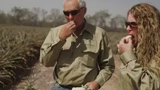 The Local Growers of Gin Gin and Dry