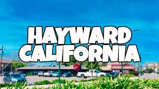 Best Things To Do in Hayward California