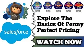 Explore the Basics of Penny Perfect Pricing | Salesforce Trailhead | Challenge 1