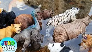 Two Dinosaurs are hanging out with wildanimals_Learn Wildlife Animal Names #28 | Juno Tube