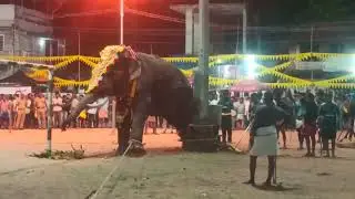palluruthy veli temple 2023thottekatt rajashekaran