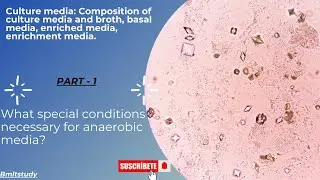 Culture Media: Composition, Types, and Uses in Microbiology