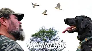 Dove Season 2025 Opening Day